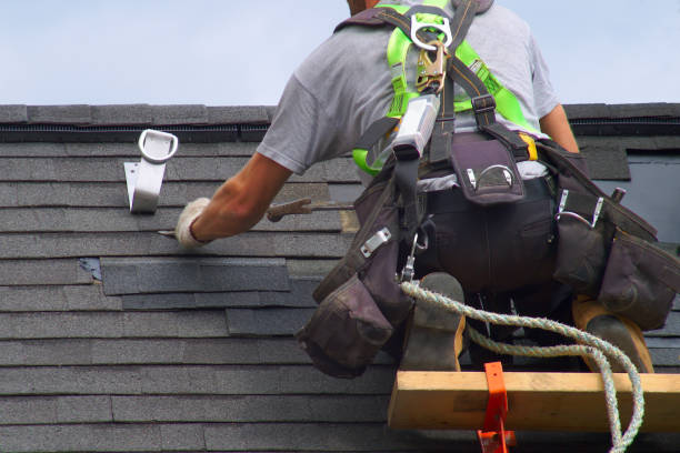 Best Roof Gutter Cleaning  in Butte, MT