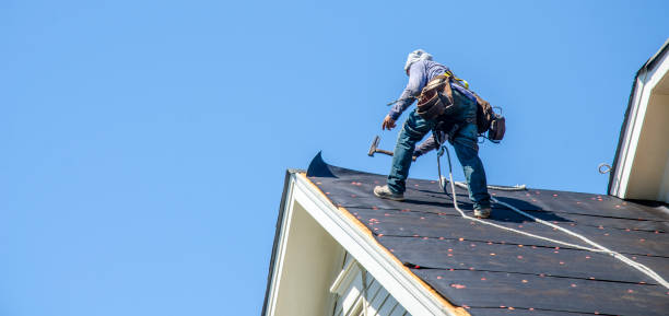 Roof Gutter Cleaning in Butte, MT